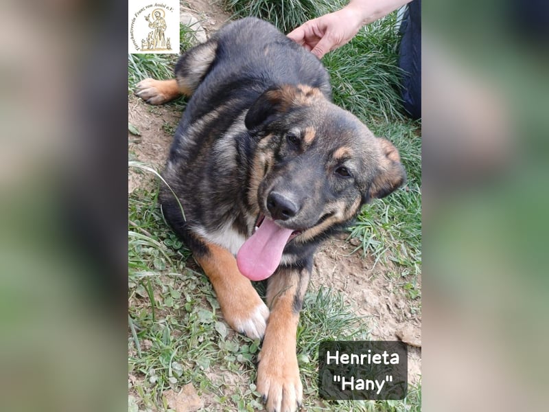 Hany – neugierig, frech und unwiderstehlich!