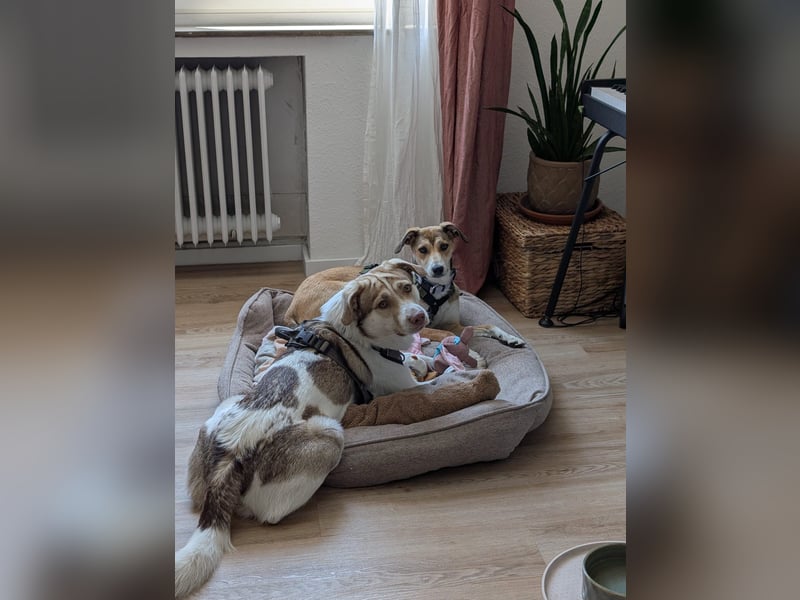 Süße Livia