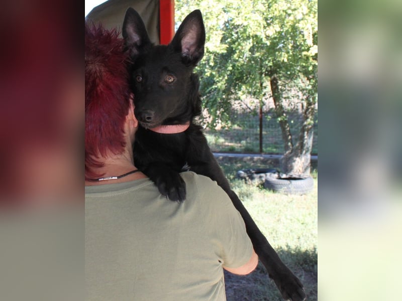 Schönheit Emma in 45138 Essen