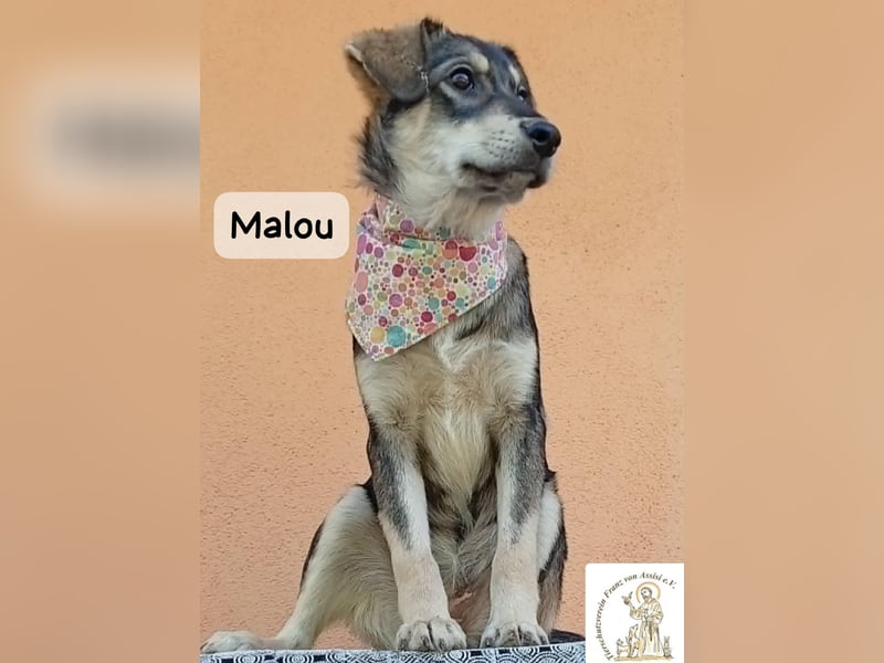 Malou – kleine Entdeckerin mit feinem Gespür!