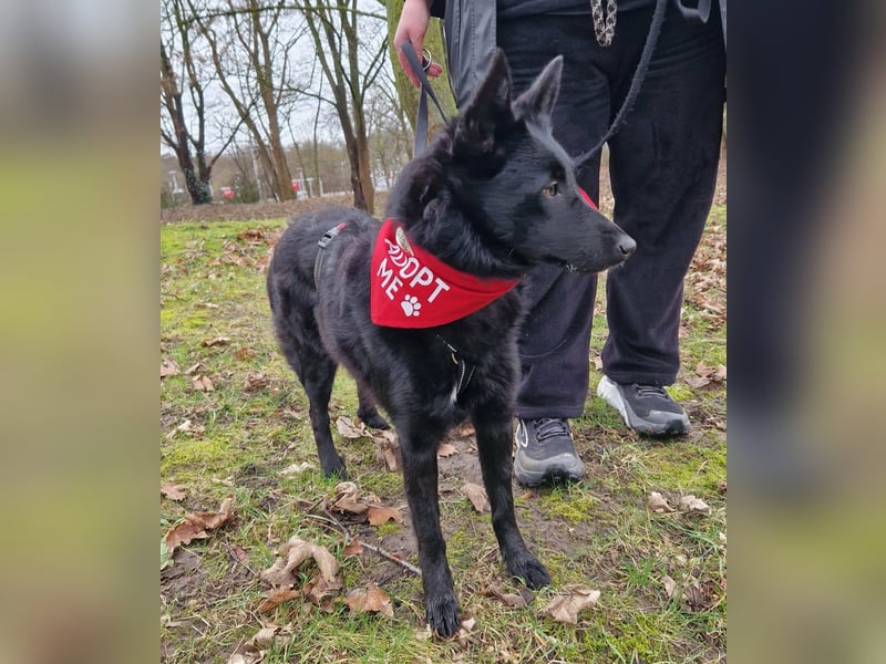 Schönheit Emma in 45138 Essen