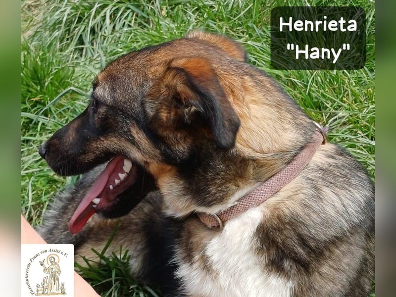 Hany – neugierig, frech und unwiderstehlich!