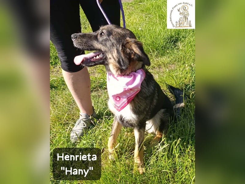 Hany – neugierig, frech und unwiderstehlich!