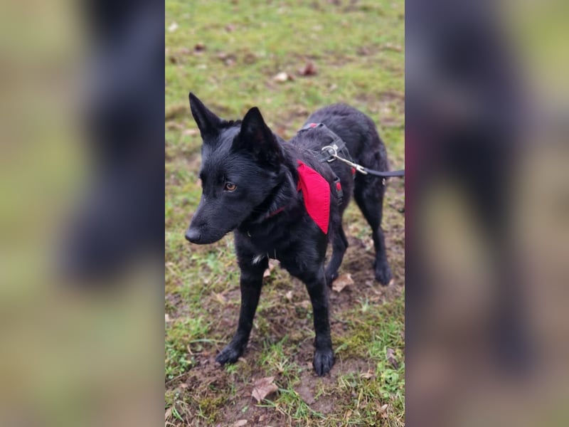 Schönheit Emma in 45138 Essen