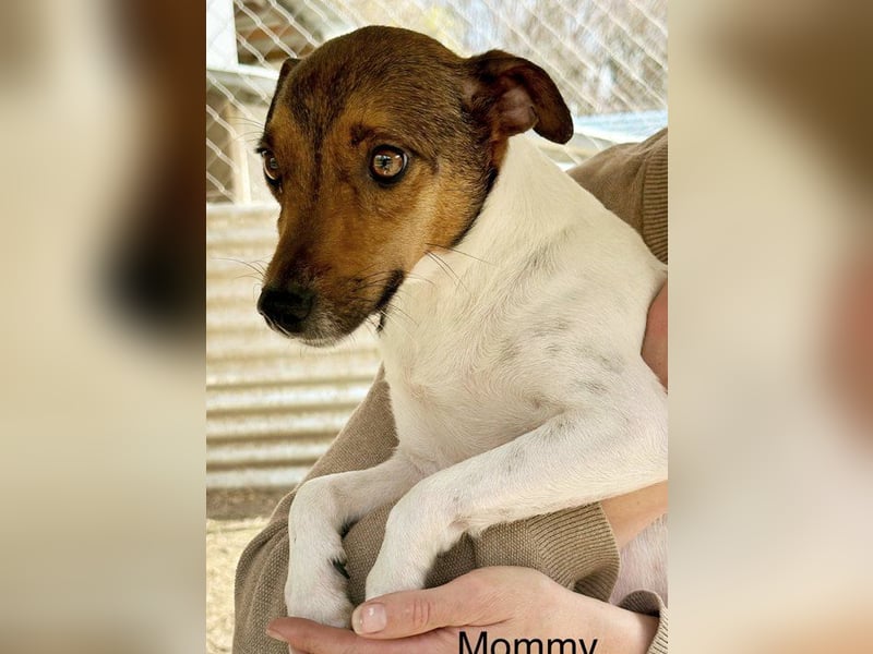 Mia ist ein echter Hingucker