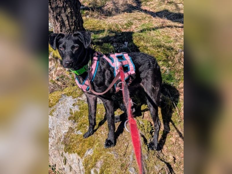 Sensible Leesha sucht ihre Menschen