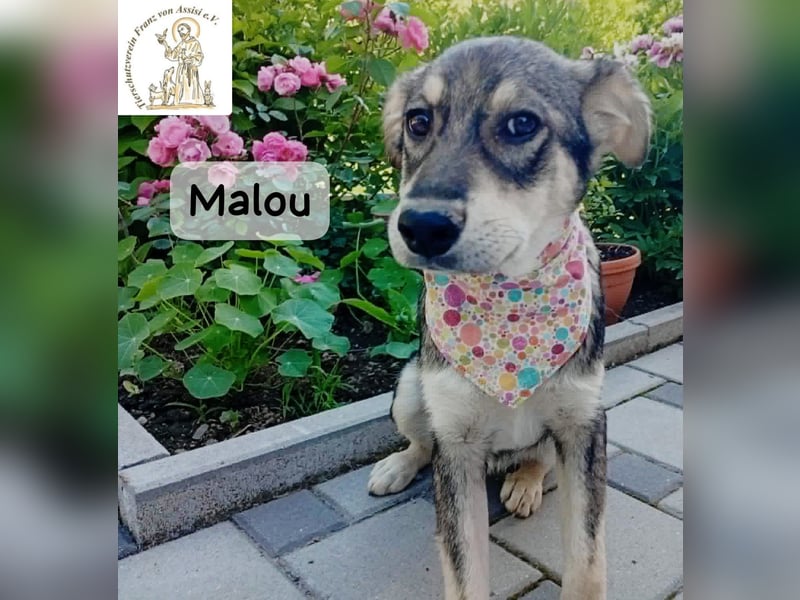 Malou – kleine Entdeckerin mit feinem Gespür!