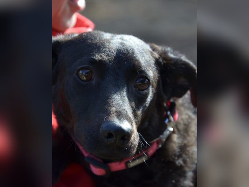 Sensible Leesha sucht ihre Menschen