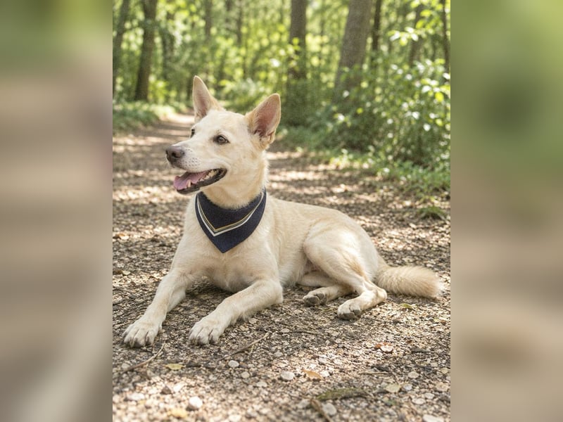 Charmanter Mati sucht ein passendes Zuhause