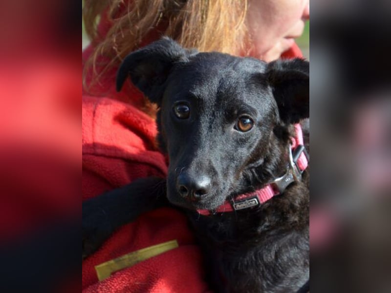 Sensible Leesha sucht ihre Menschen