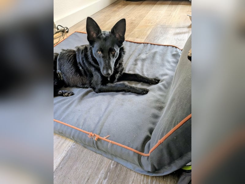 Schönheit Emma in 45138 Essen