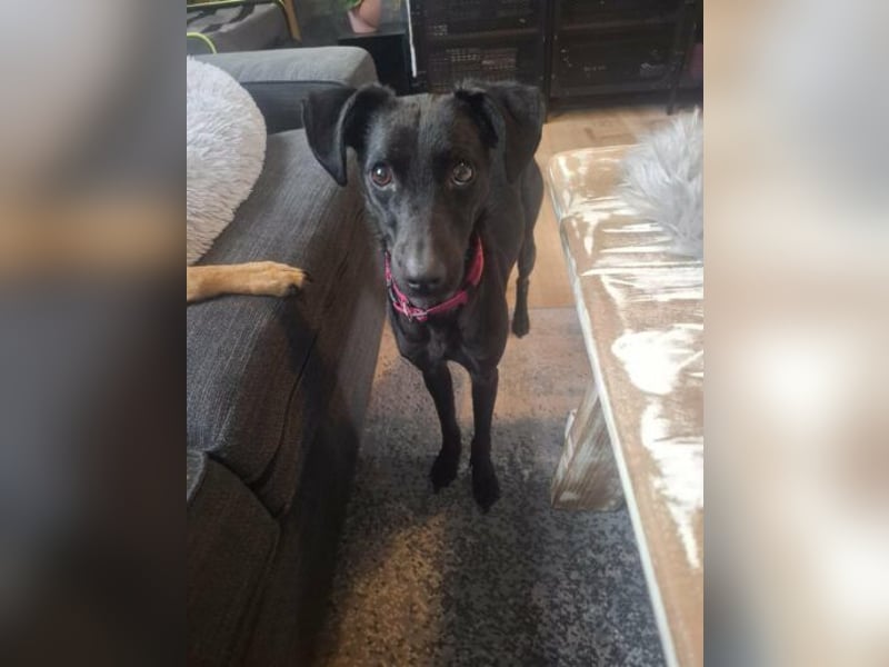 Sensible Leesha sucht ihre Menschen