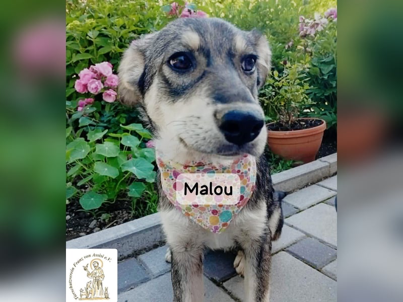 Malou – kleine Entdeckerin mit feinem Gespür!