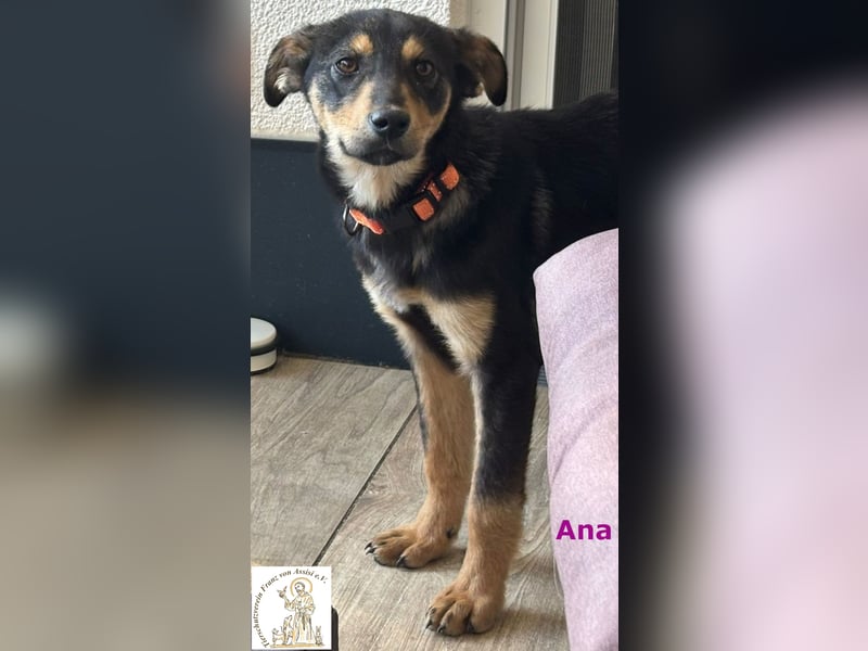 Ana – junges Mädchen, große Pläne!