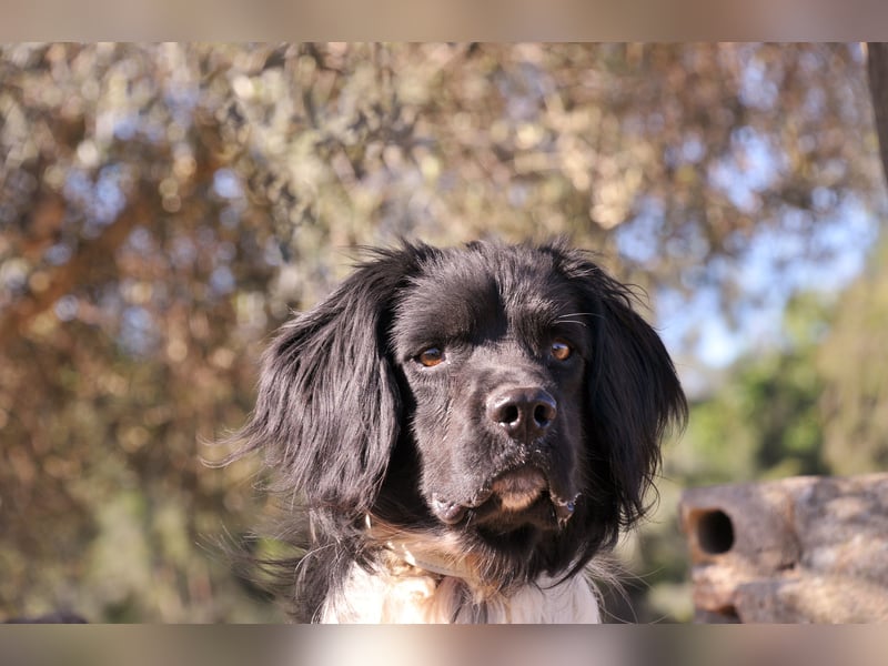 Möchtest du Otto zeigen, wie sich ein echtes Zuhause anfühlt?