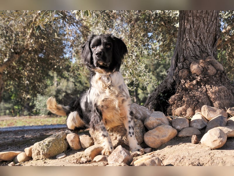Möchtest du Otto zeigen, wie sich ein echtes Zuhause anfühlt?