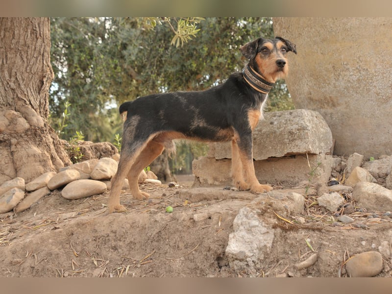 Schenken Sie Tec das Zuhause das er verdient?