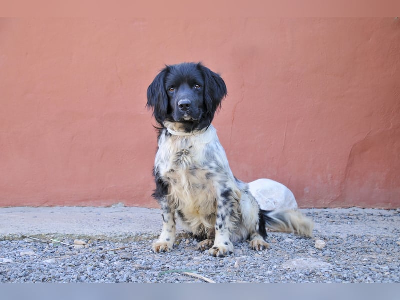 Möchtest du Otto zeigen, wie sich ein echtes Zuhause anfühlt?