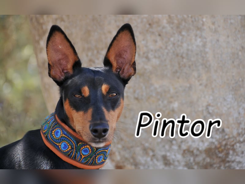 Öffnest du Pintor die Tür zu einem neuen Leben?