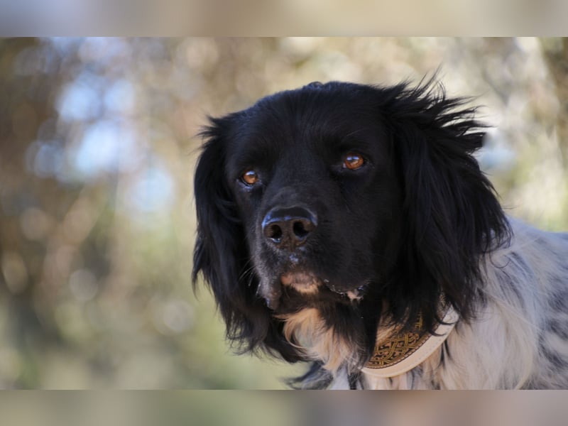 Möchtest du Otto zeigen, wie sich ein echtes Zuhause anfühlt?