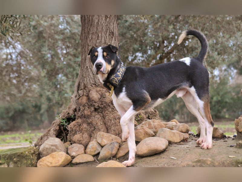 Zeigst du Sharif, dass seine Zukunft hell ist?