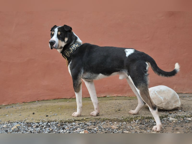 Zeigst du Sharif, dass seine Zukunft hell ist?