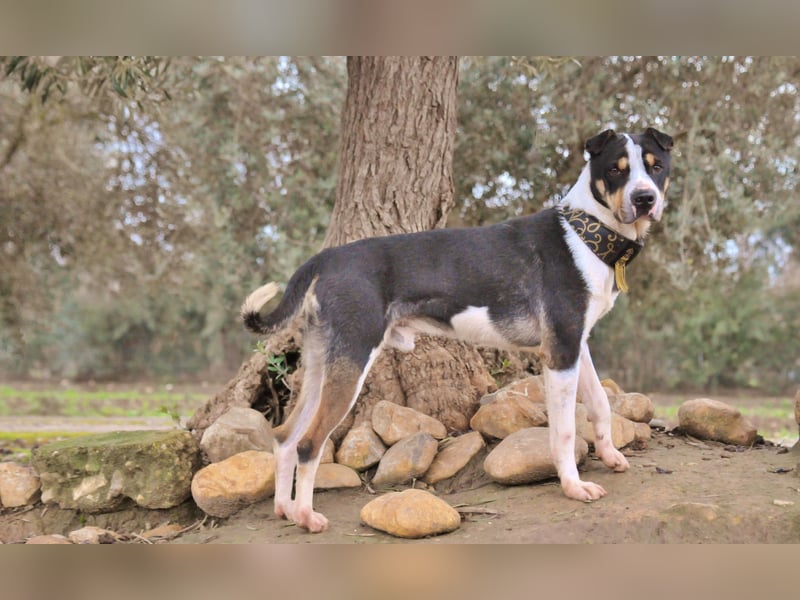 Zeigst du Sharif, dass seine Zukunft hell ist?