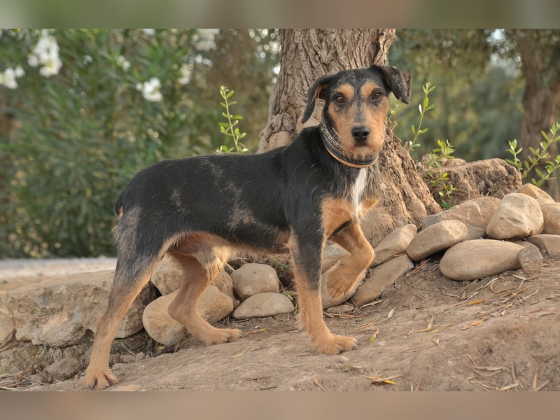 Schenken Sie Tec das Zuhause das er verdient?