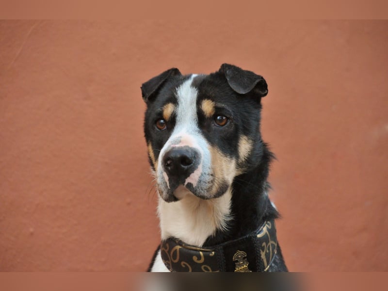 Zeigst du Sharif, dass seine Zukunft hell ist?