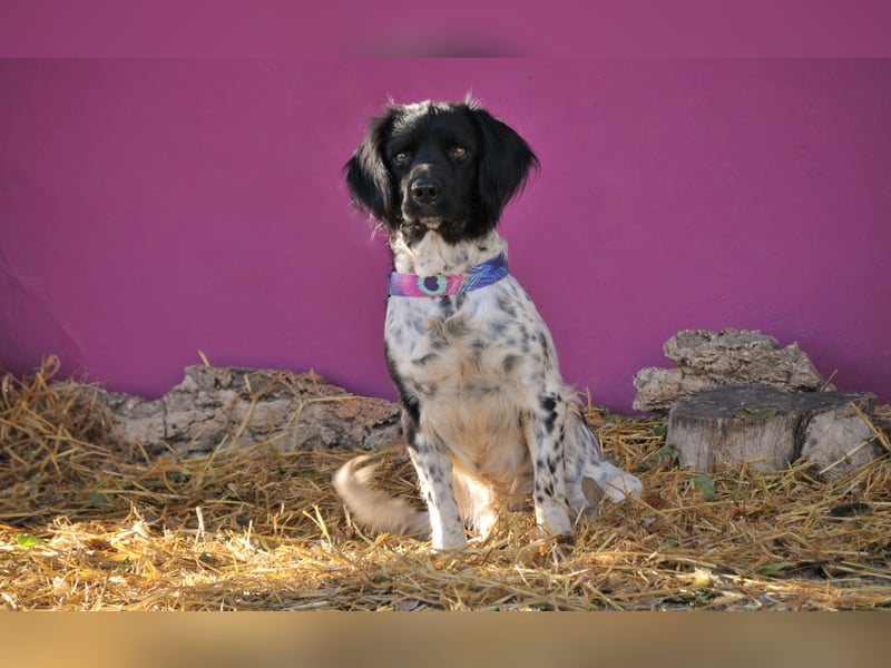 Möchtest du Otto zeigen, wie sich ein echtes Zuhause anfühlt?