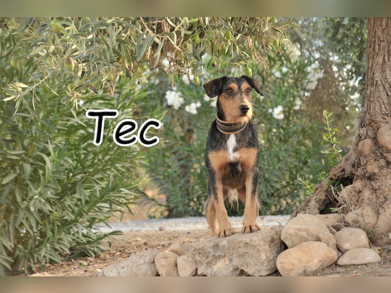 Schenken Sie Tec das Zuhause das er verdient?