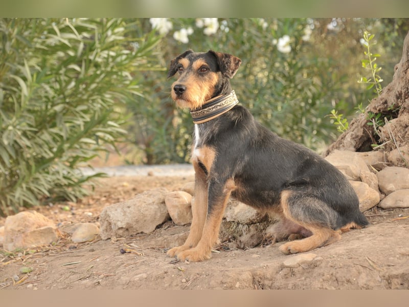 Schenken Sie Tec das Zuhause das er verdient?