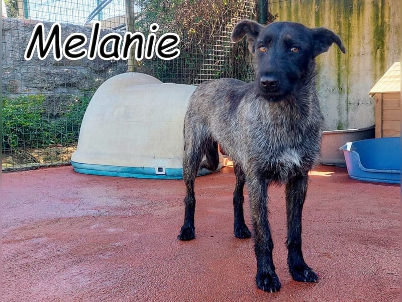 Zeigen Sie Melanie, dass es gute Menschen auf der Welt gibt?