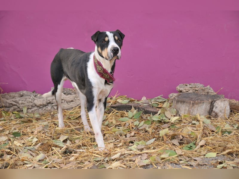 Zeigst du Sharif, dass seine Zukunft hell ist?