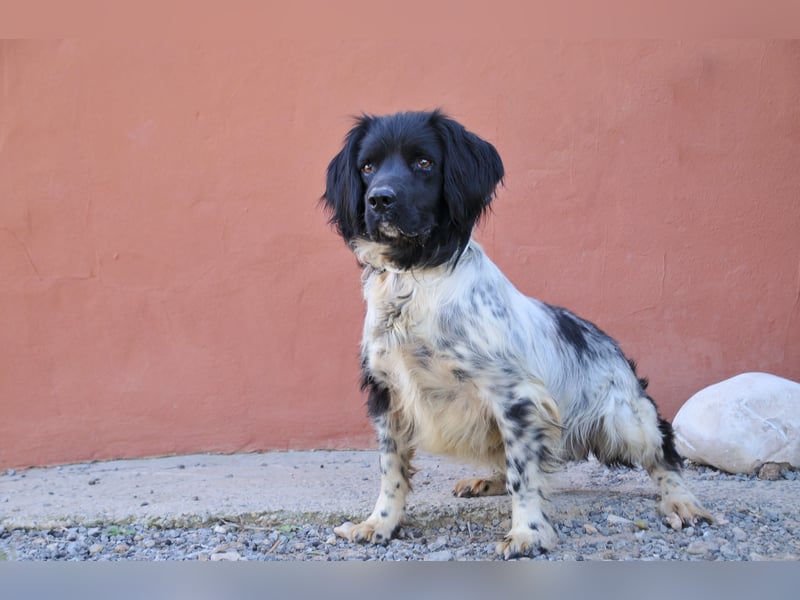 Möchtest du Otto zeigen, wie sich ein echtes Zuhause anfühlt?