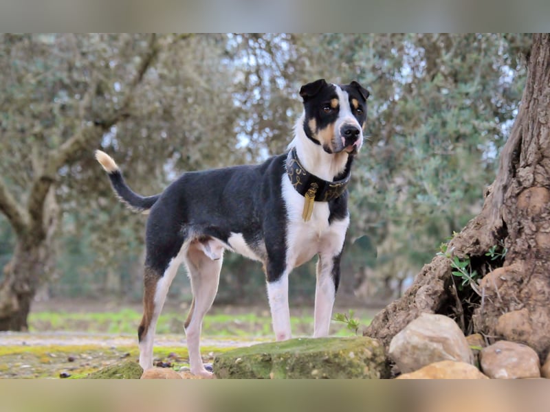 Zeigst du Sharif, dass seine Zukunft hell ist?