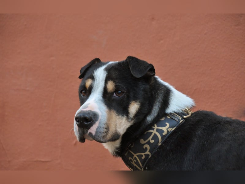 Zeigst du Sharif, dass seine Zukunft hell ist?