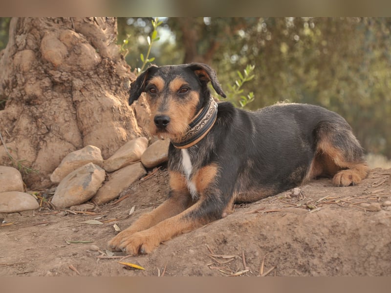 Schenken Sie Tec das Zuhause das er verdient?