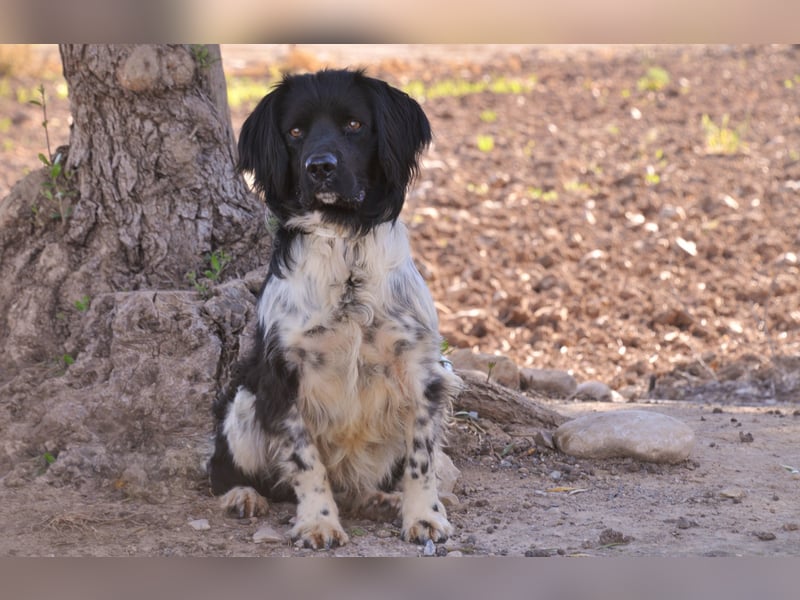 Möchtest du Otto zeigen, wie sich ein echtes Zuhause anfühlt?