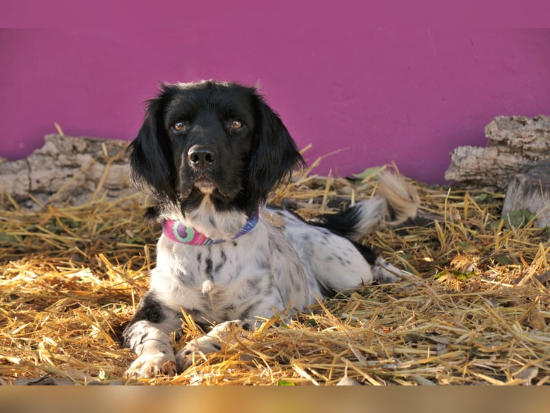 Möchtest du Otto zeigen, wie sich ein echtes Zuhause anfühlt?