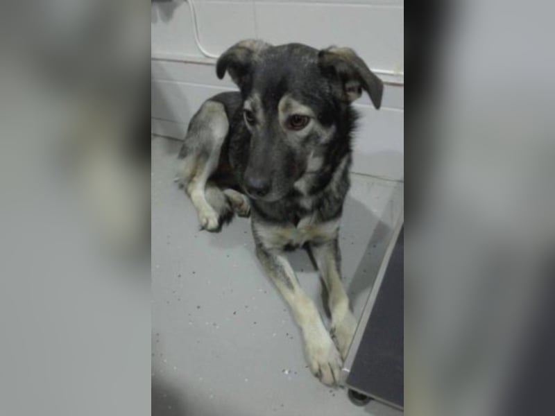 Elona wunderschön aber noch Zwinger!  