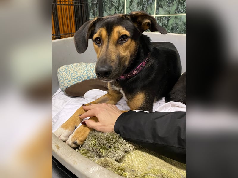 Jenna – bereit für ihr eigenes Zuhause