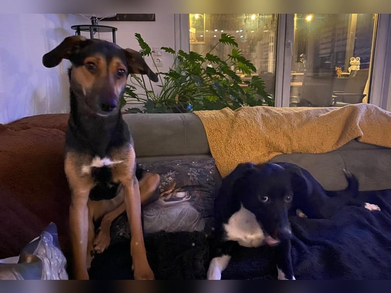 Jenna – bereit für ihr eigenes Zuhause