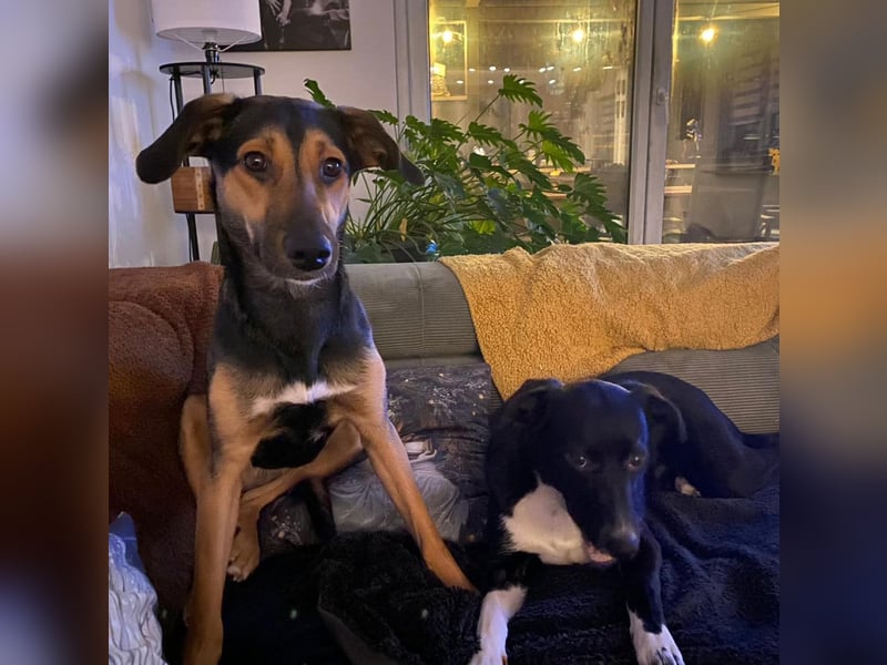 Jenna – bereit für ihr eigenes Zuhause