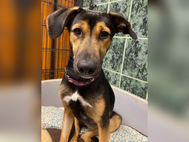 Jenna – bereit für ihr eigenes Zuhause