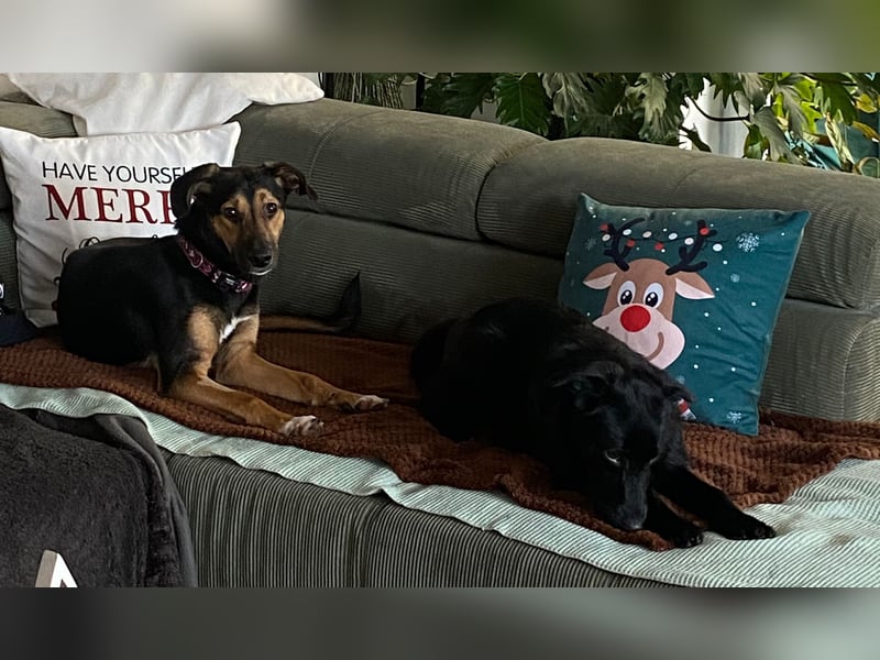 Jenna – bereit für ihr eigenes Zuhause