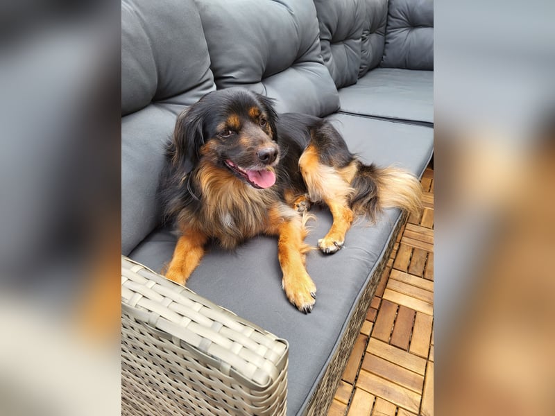 Bruno - kleiner Schmusebär sucht seine Familie