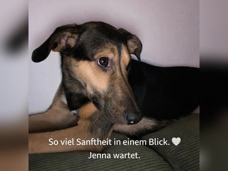 Jenna – bereit für ihr eigenes Zuhause