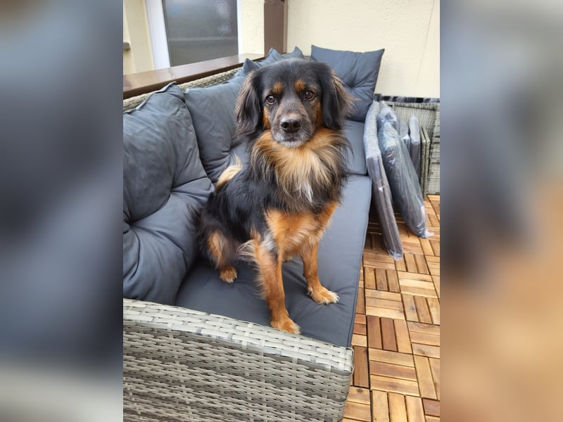 Bruno - kleiner Schmusebär sucht seine Familie