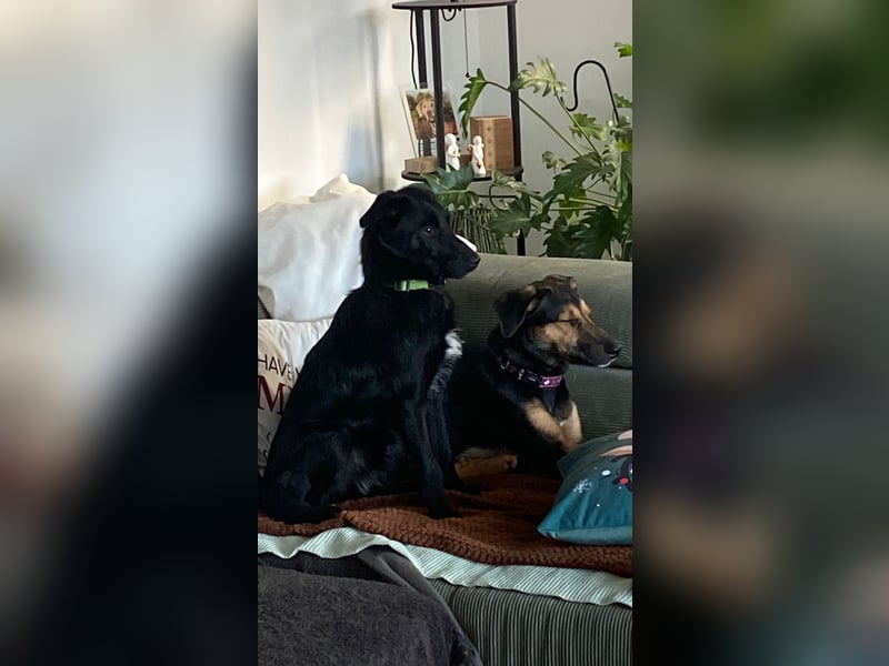 Jenna – bereit für ihr eigenes Zuhause